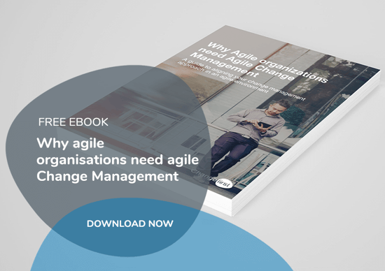 AgileEbookMockuperForWebsitePanelTP